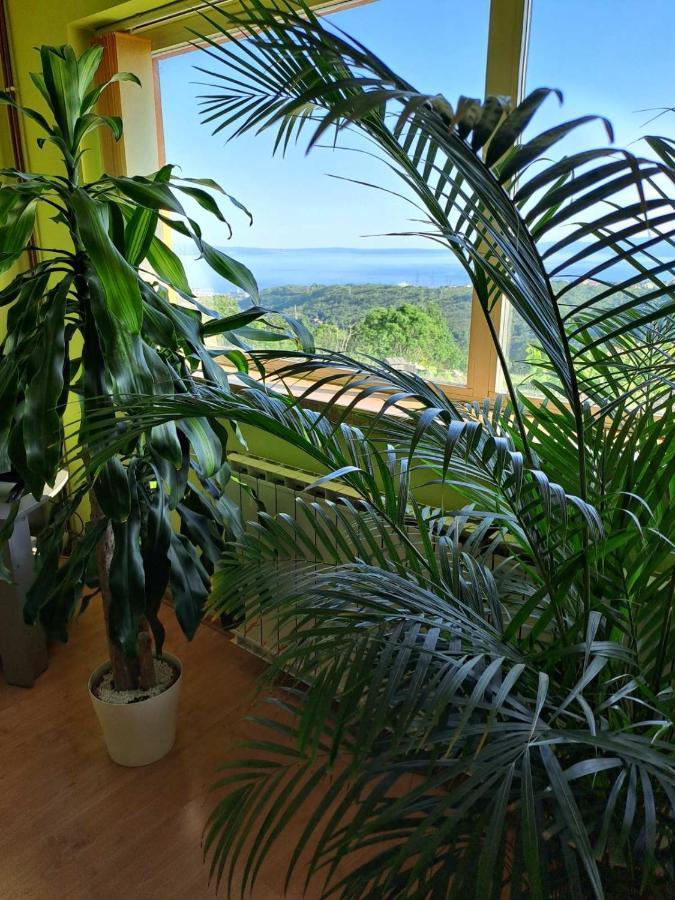 Вилла Kuca Za Odmor Vista Mare Marinici  Экстерьер фото